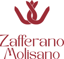 Zafferano Molisano